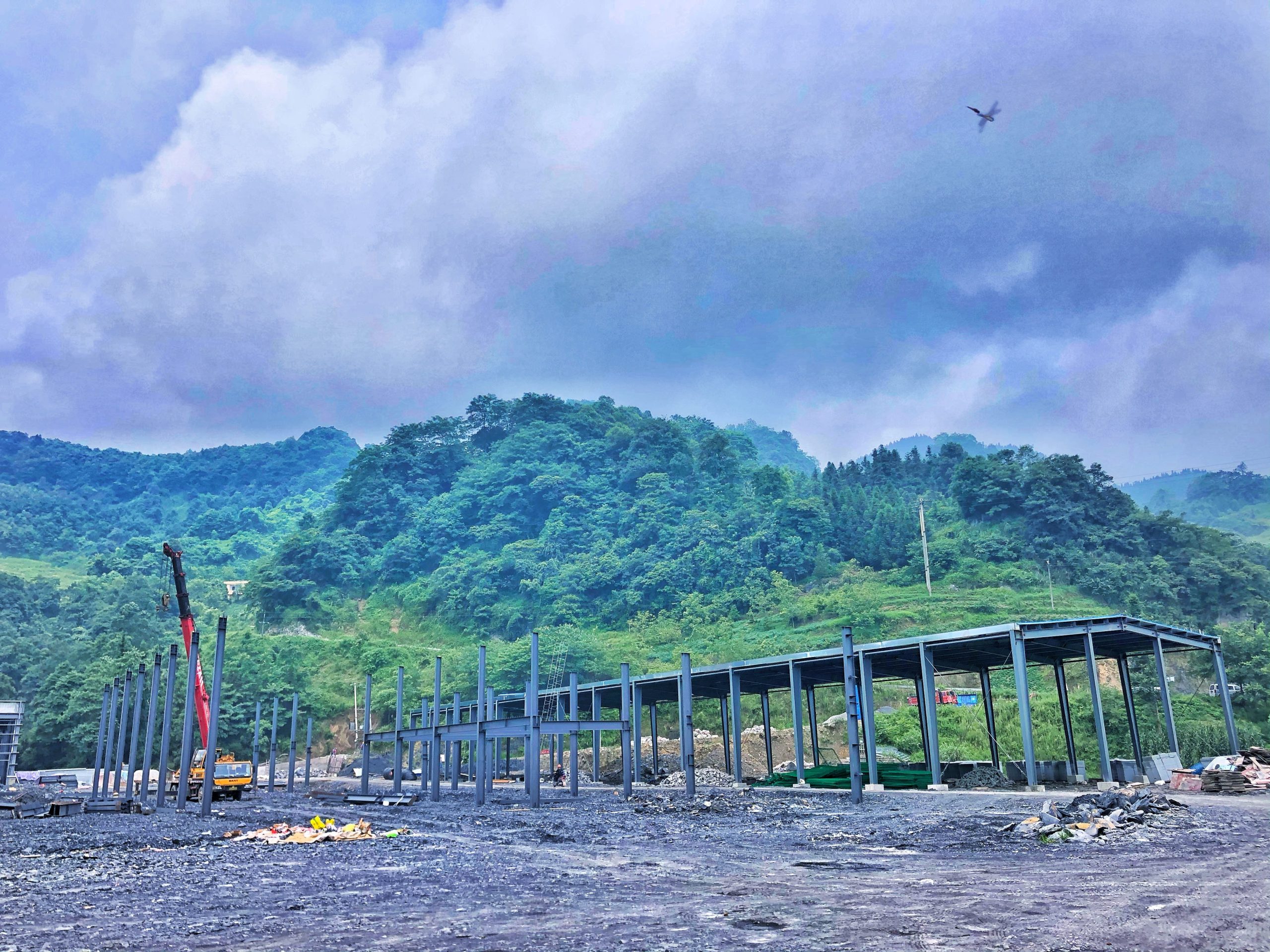 从荒山到餐桌:鼎安全产业链如何定义大健康食品的 “安全边界”